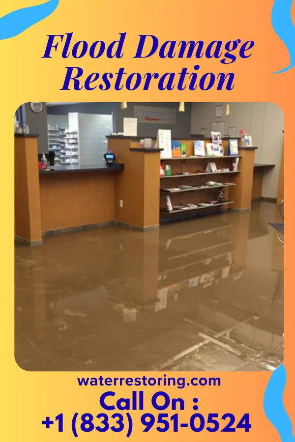 Flood Damage Restoration in Spangle, WA